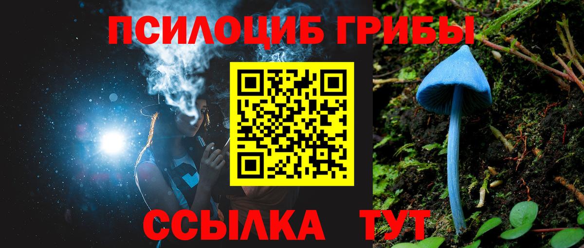 Псилоцибиновые грибы MAGIC MUSHROOMS  Вход с VPN  Ульяновск 